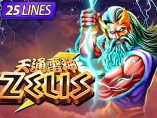 Zeus screenshot